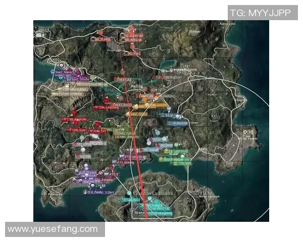 聚焦和平精英RNG团队协作的成功秘诀与挑战分析MBA